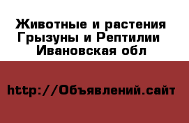 Животные и растения Грызуны и Рептилии. Ивановская обл.